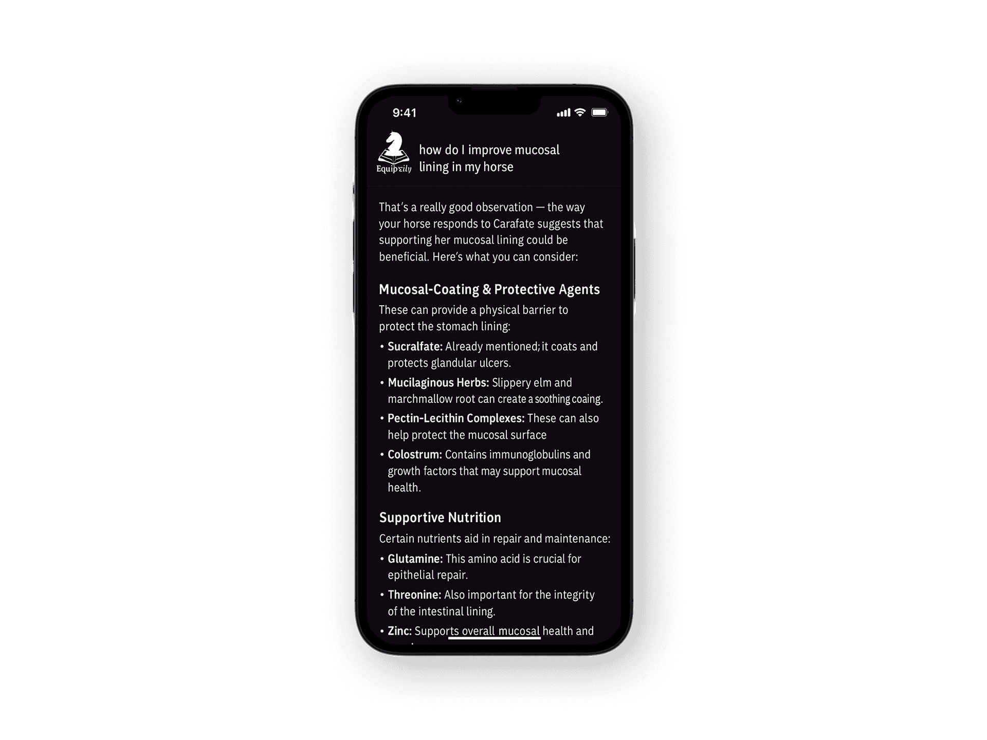 Equipedia mockup